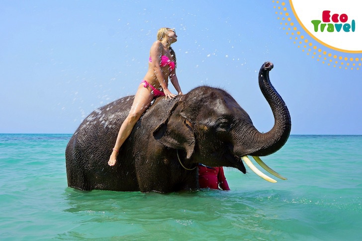 Sri Lanka - TOP 5 Kierunków Egzotycznych wartych rozważenia